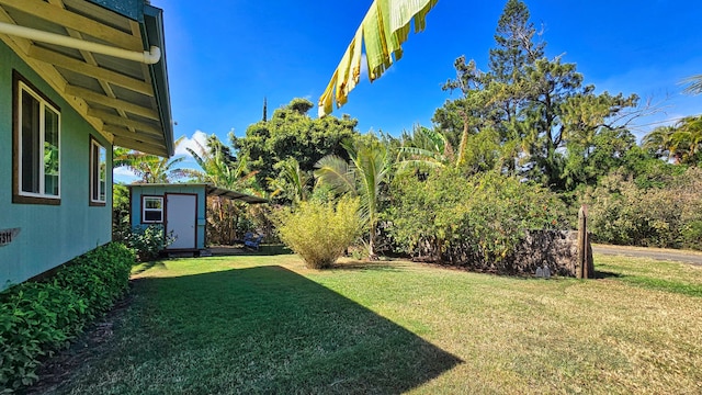 view of yard with a storage shed