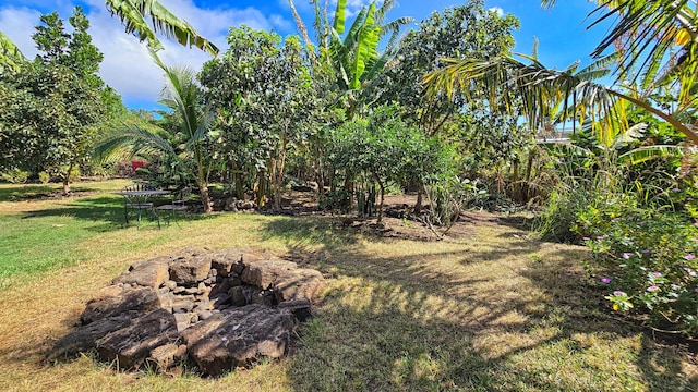 view of yard featuring an outdoor fire pit