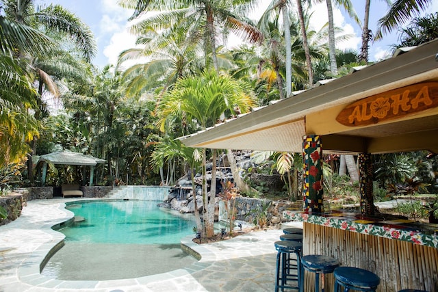 view of pool with a patio area and an outdoor bar