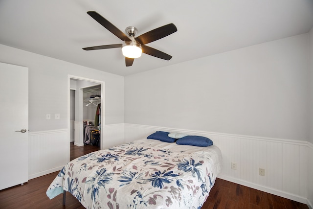 bedroom with ceiling fan, dark hardwood / wood-style floors, a spacious closet, and a closet