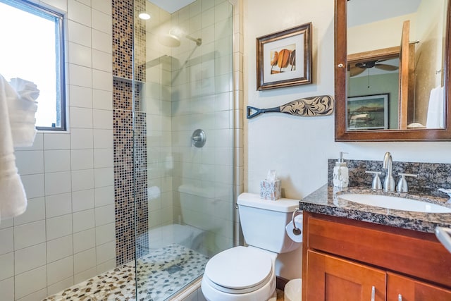 bathroom featuring a shower with door, toilet, vanity, and a healthy amount of sunlight