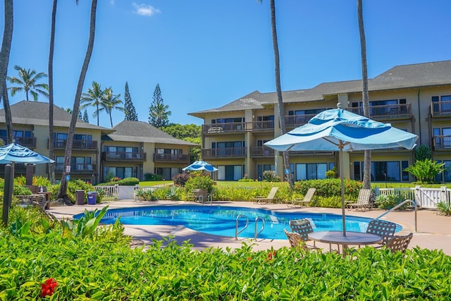 view of swimming pool