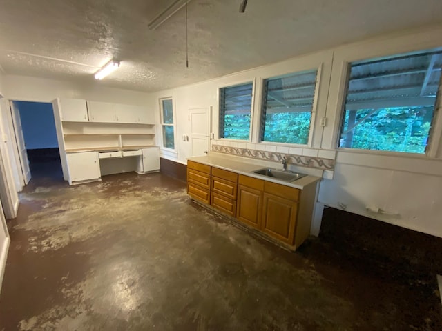 basement with sink