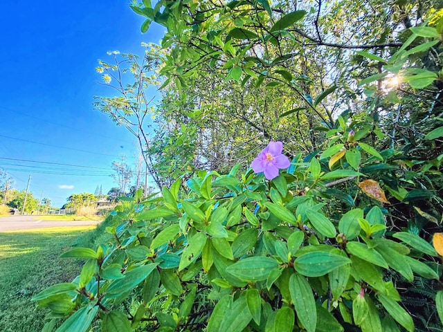 Listing photo 2 for Maiko St, Pahoa HI 96778