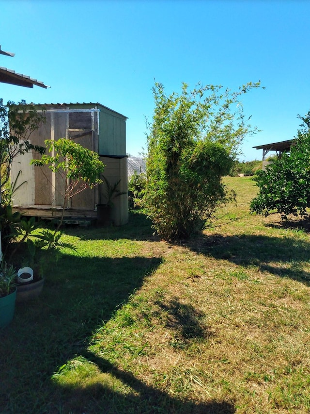 view of yard with a storage unit