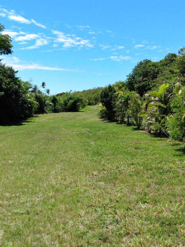 view of yard with a rural view