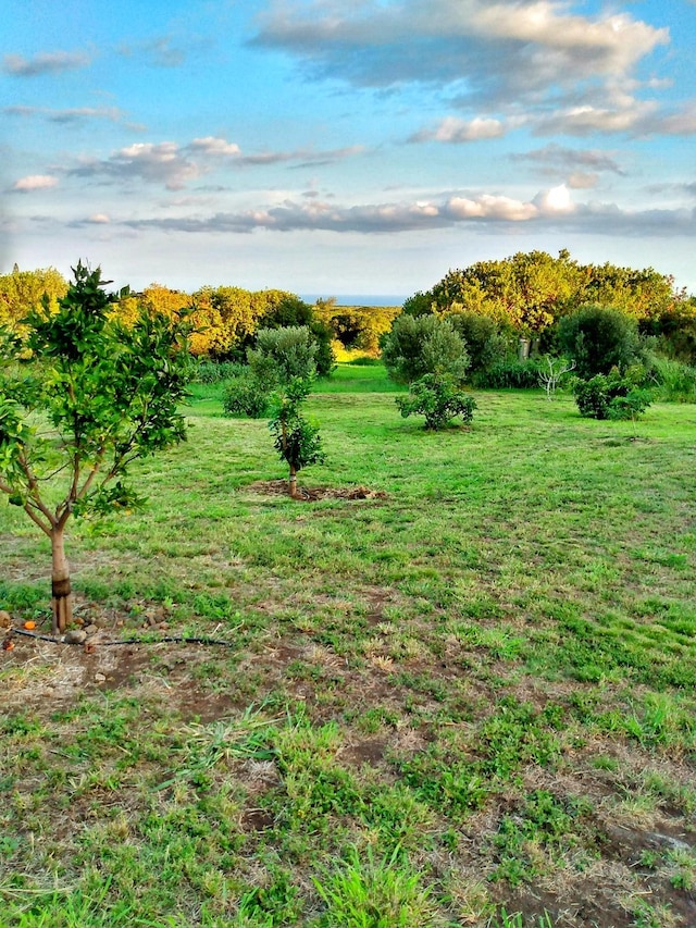 view of yard featuring a rural view