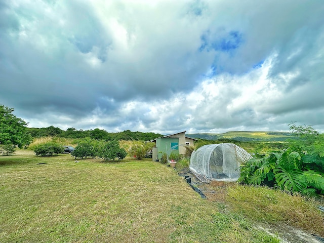 view of yard featuring an outbuilding