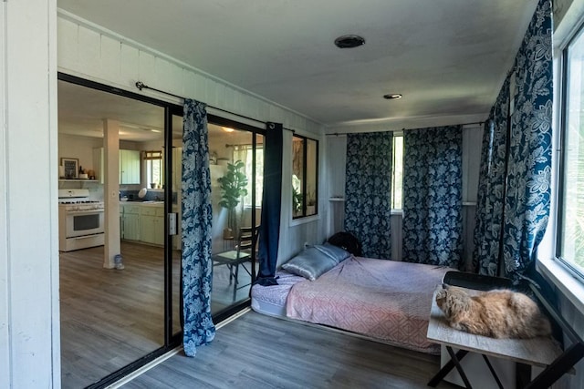 bedroom featuring hardwood / wood-style flooring and ensuite bath