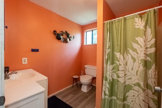 bathroom featuring vanity, wood-type flooring, and toilet