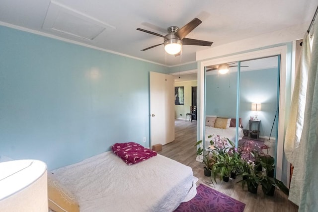 bedroom with ceiling fan, wood-type flooring, and a closet