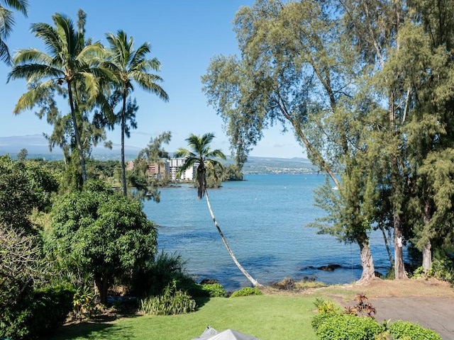 view of water feature