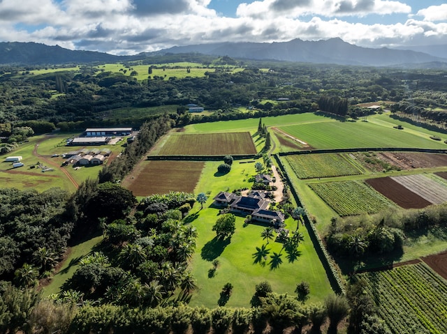 drone / aerial view featuring a mountain view and a rural view