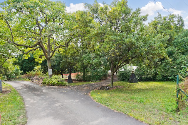 view of community featuring a yard