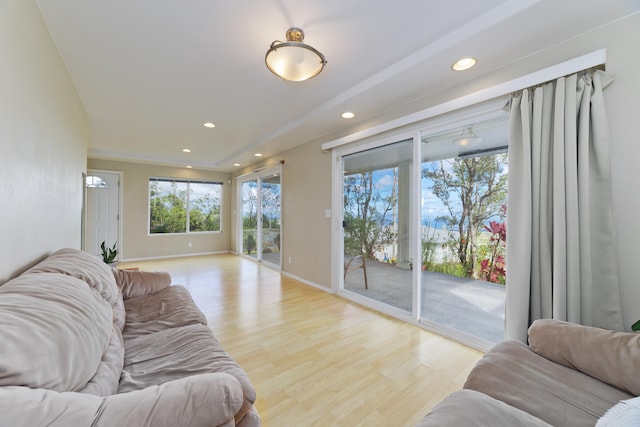 living room featuring light hardwood / wood-style flooring