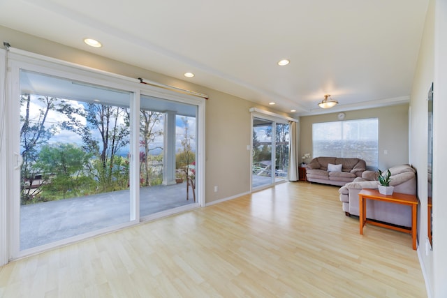 living room with light wood-type flooring