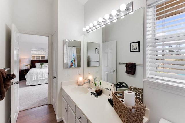 bathroom with hardwood / wood-style flooring, vanity, and a healthy amount of sunlight