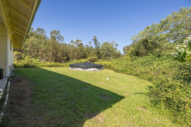 view of yard featuring a pool