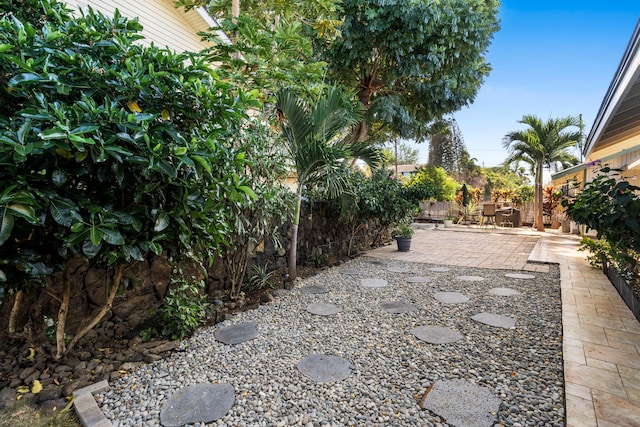 view of yard featuring a patio