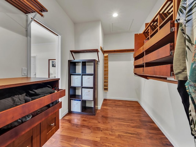 spacious closet with light wood-type flooring