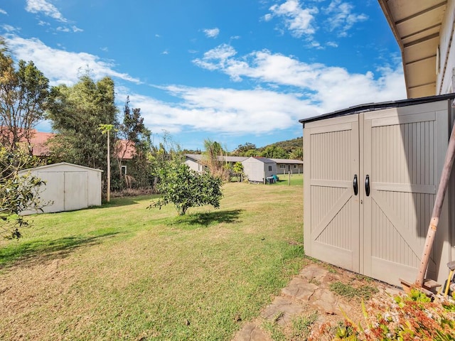 view of yard featuring a shed