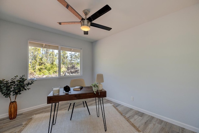 home office with light hardwood / wood-style floors and ceiling fan