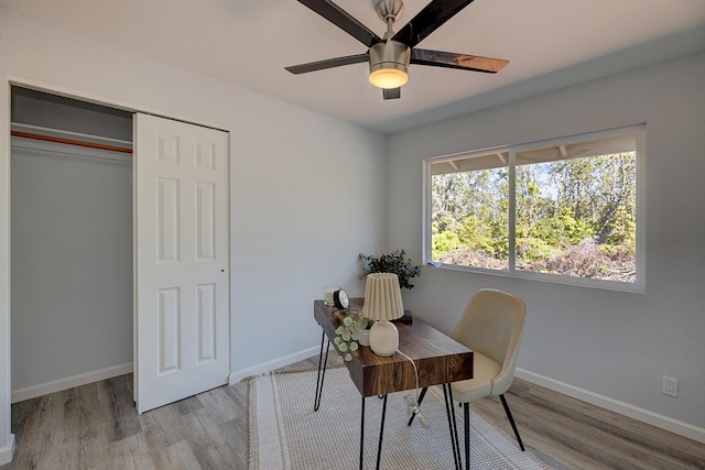 home office with ceiling fan and light hardwood / wood-style floors