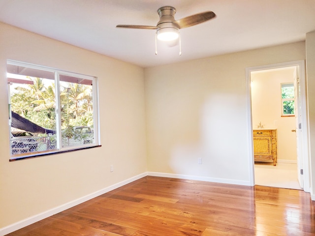 unfurnished room featuring a wealth of natural light, light hardwood / wood-style flooring, and ceiling fan