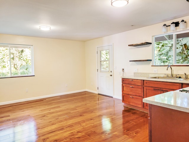 kitchen featuring light hardwood / wood-style floors, sink, and a wealth of natural light