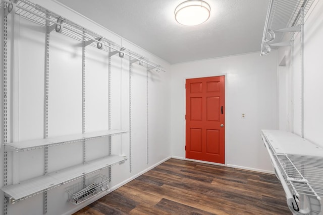 spacious closet with dark wood-type flooring