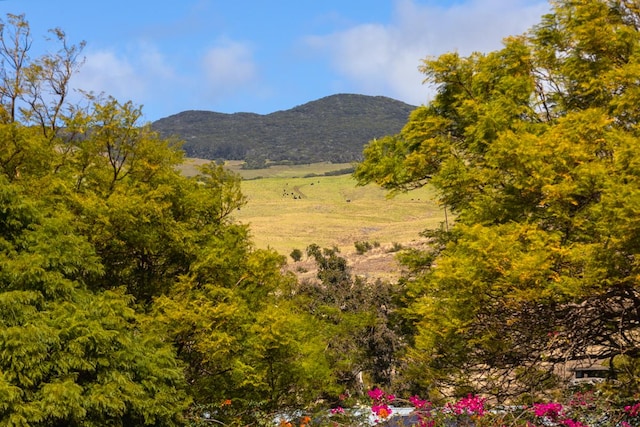 property view of mountains