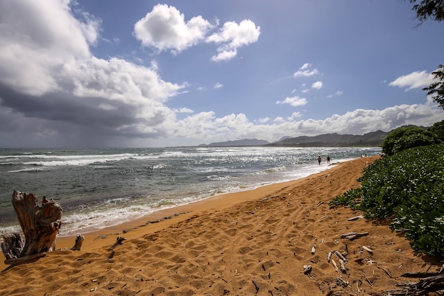 water view featuring a view of the beach