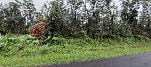 Hapuu Rd, Pahoa HI, 96778 land for sale