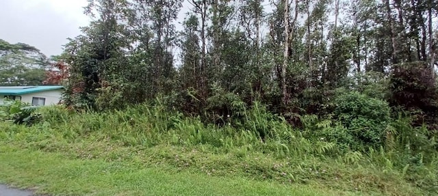 Listing photo 2 for Hapuu Rd, Pahoa HI 96778