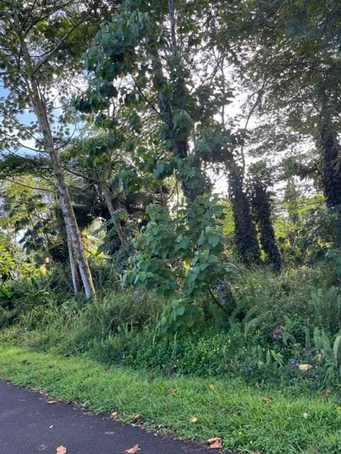 Listing photo 3 for S Kumu St, Pahoa HI 96778