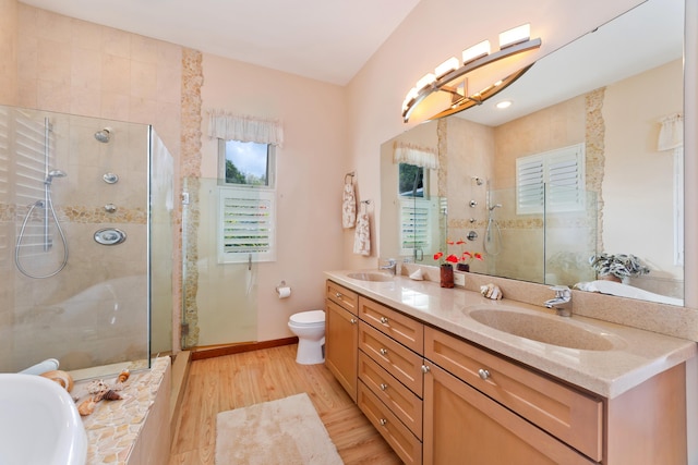 bathroom with toilet, a shower with shower door, wood-type flooring, and vanity