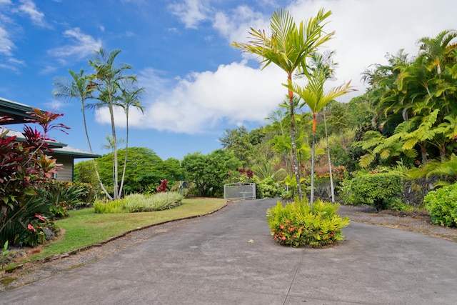 view of property's community featuring a lawn