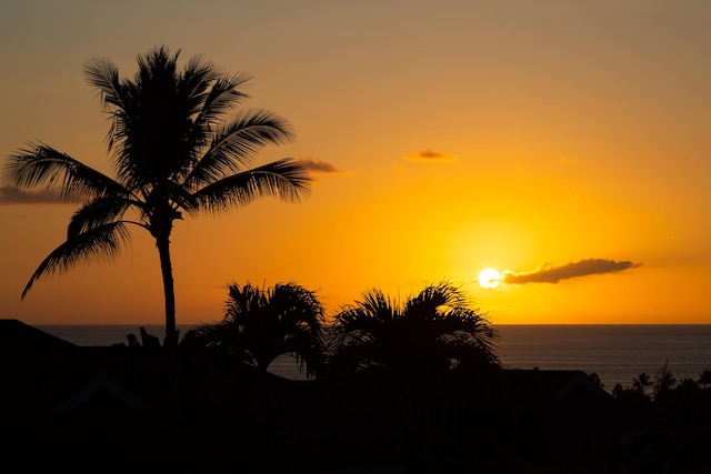 nature at dusk with a water view