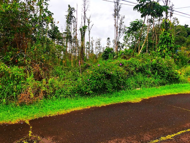 Kuleana St, Pahoa HI, 96778 land for sale