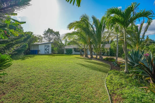 view of yard featuring a storage unit