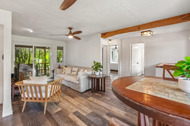 living room with a wealth of natural light, ceiling fan, hardwood / wood-style floors, and a textured ceiling