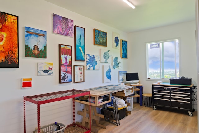 office area featuring light hardwood / wood-style floors