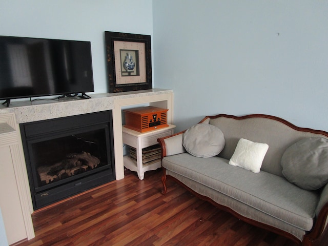 living room featuring dark wood-type flooring