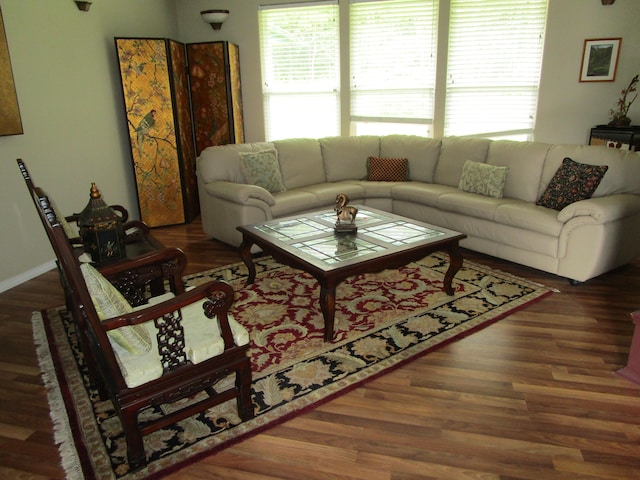 living room with dark hardwood / wood-style flooring and a wealth of natural light