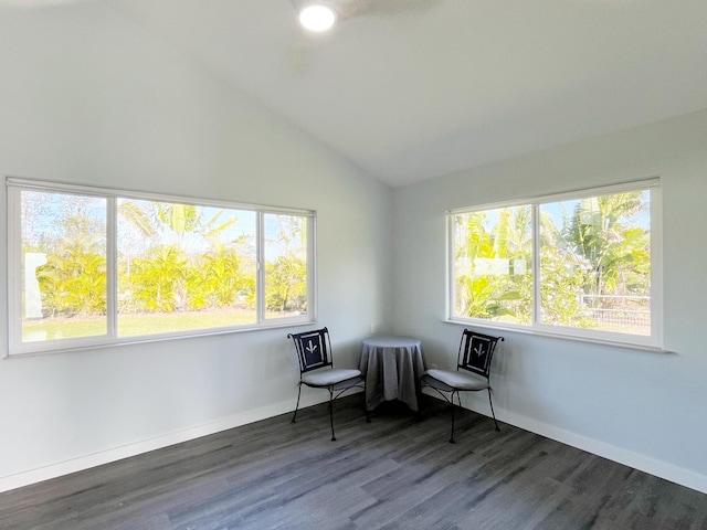 unfurnished room featuring vaulted ceiling, dark wood-type flooring, and a wealth of natural light