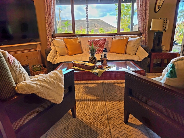 living room with a mountain view