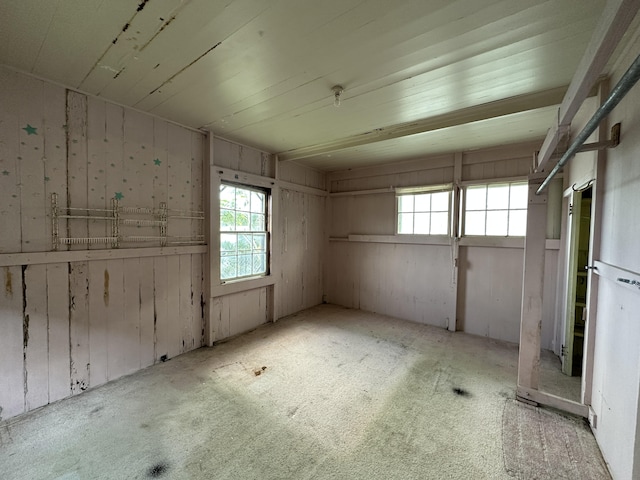 basement with plenty of natural light