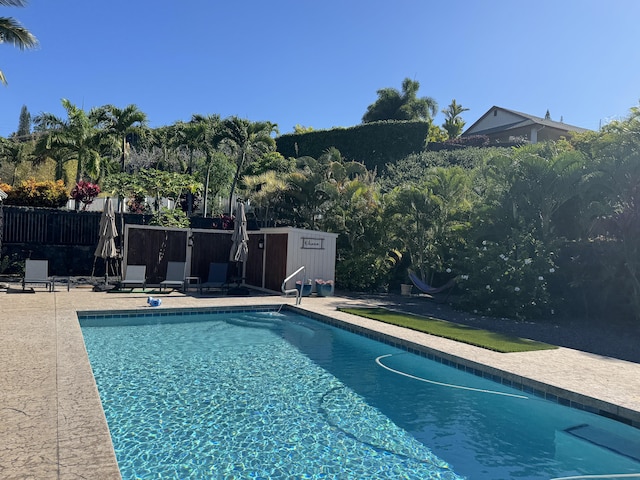 view of pool featuring a patio area