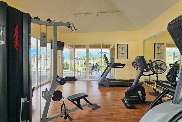 workout room with hardwood / wood-style flooring, plenty of natural light, and lofted ceiling