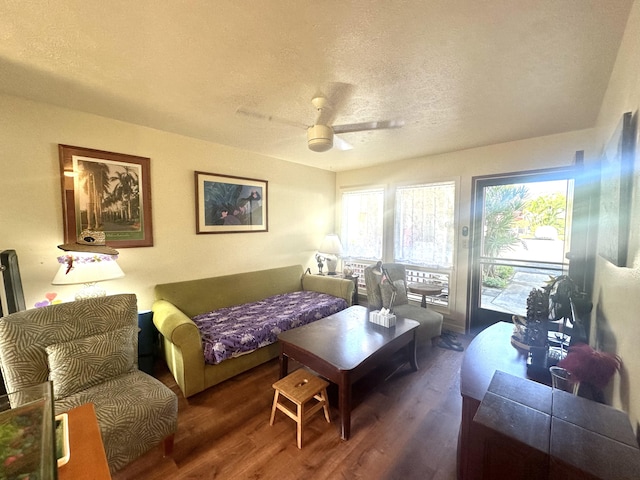 bedroom featuring dark hardwood / wood-style floors, ceiling fan, and a textured ceiling